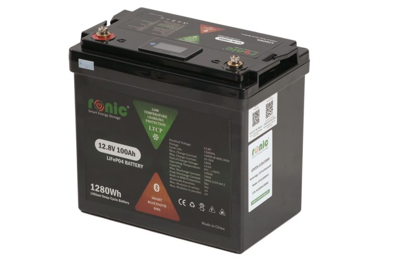 Baterie/Acumulator LiFePO4, 12.8V 100Ah, functie Bluetooth si LTCP, model LFP12100SDHY MINI COMPACT - imagine 3
