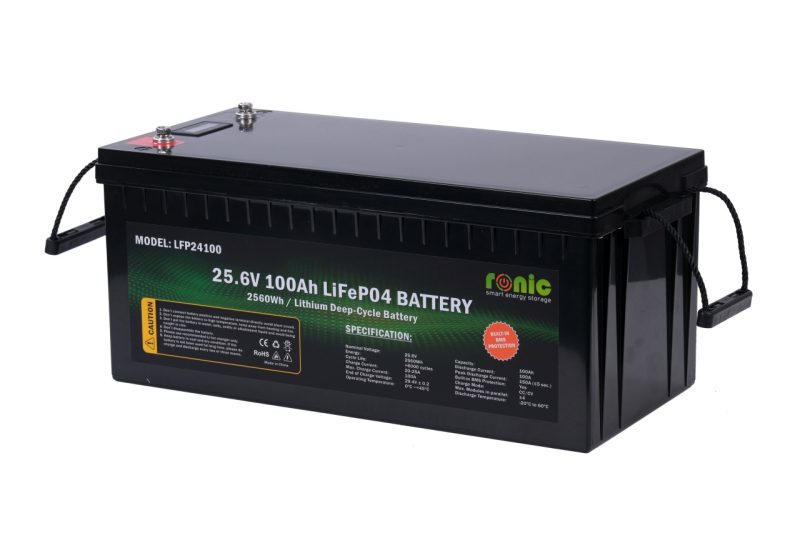 Baterie/Acumulator LiFePO4, 25.6V 100Ah, model LFP24100 - imagine 3